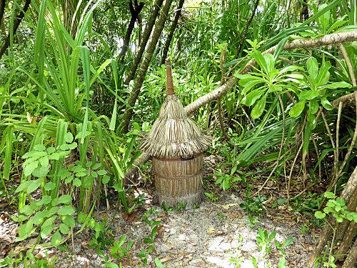 Verdure au coco palm dhuni kolhu borne incendie