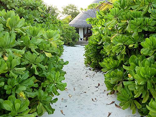 Decouverte de notre beach villa allee