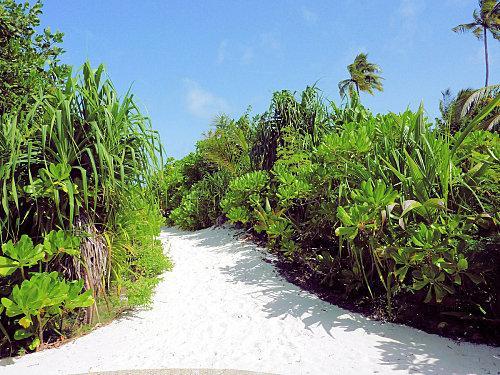 Decouverte de notre beach villa allée villa