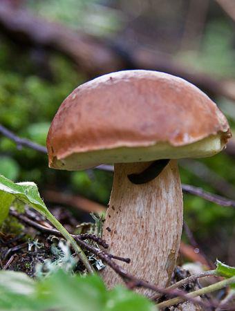 Journée du 17 Août en Haute-Savoie IMG_2326