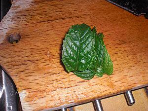 BRUSCHETTAS A MA FACON CIMG4647