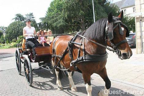 la Roche sur Yon .. à cheval ! lr10_2532422_1_apx_470_.jpg