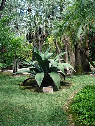 Vacances made in España. DSC03167.JPG