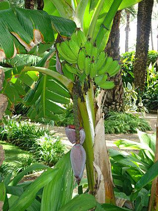 Vacances made in España. DSC03170.JPG