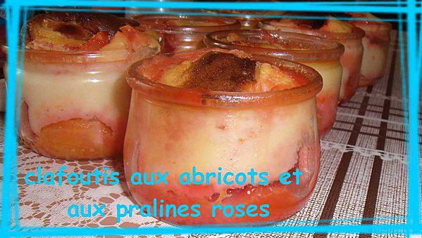 Clafoutis aux abricots et aux pralines roses GEDC2885