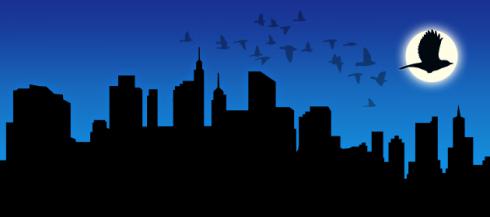 New York : l’extinction des feux épargnera les oiseaux migrateurs