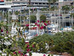 My trip in New Zealand (7) - Whangarei Whangarei