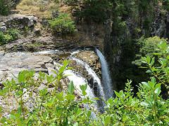 My trip in New Zealand (7) - Whangarei Whangarei Falls