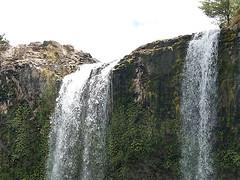 My trip in New Zealand (7) - Whangarei Whangarei Falls