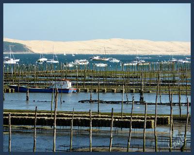 Et voilà, il faut bien se mettre à l'évidence...les Vacan... Et voilà, il faut bien se mettre à l'évidence...les Vacan...
