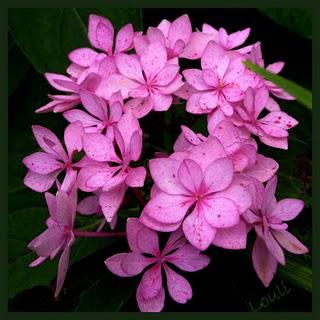 Et voilà, il faut bien se mettre à l'évidence...les Vacan... Et voilà, il faut bien se mettre à l'évidence...les Vacan...