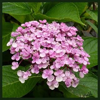 Et voilà, il faut bien se mettre à l'évidence...les Vacan... Et voilà, il faut bien se mettre à l'évidence...les Vacan...