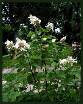 Et voilà, il faut bien se mettre à l'évidence...les Vacan... Et voilà, il faut bien se mettre à l'évidence...les Vacan...