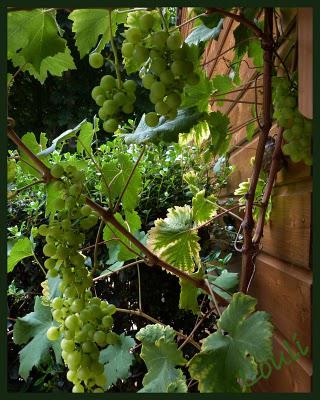 Et voilà, il faut bien se mettre à l'évidence...les Vacan... Et voilà, il faut bien se mettre à l'évidence...les Vacan...