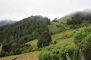 Caminatas de la Sierra Norte... Mexique 1920