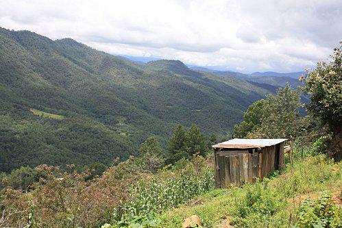 Caminatas de la Sierra Norte... Mexique 1946