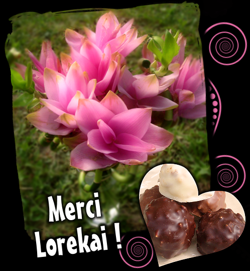 Merci les blogueuses ! ! ! http://imagik.fr/uploads/286007