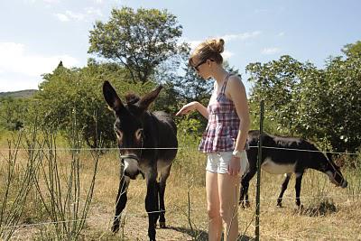 Souvenirs de Vacances Souvenirs de Vacances