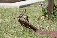 Souvenirs de Vacances Souvenirs de Vacances