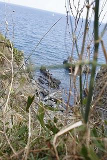 Souvenirs de Vacances Souvenirs de Vacances