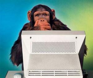 [Joke] Monkey programmers and consultants