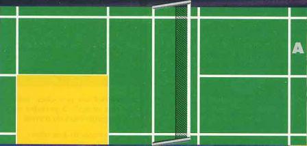 Zone de service de double au badminton