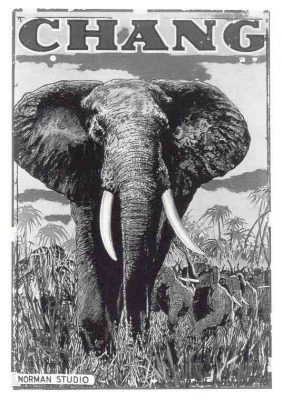 CHANG,l'éléphant!!!Un film de 1927.projection privée.