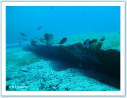 Galeasson epave archeologie galeasson