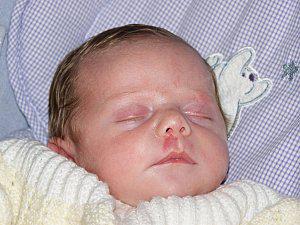 Quelques nouvelles de moi.... Photo-005.jpg