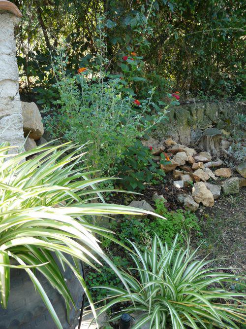 Août 2010 : mois chaud sans être canniculaire... Août 2010 : mois chaud sans être canniculaire...