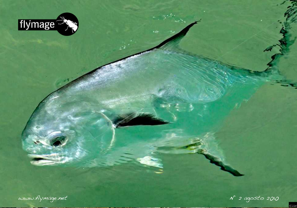 Palometa FLymage #2 FLYMAGE #2