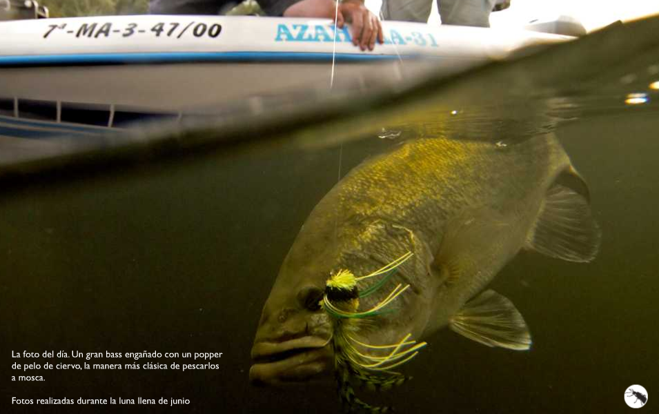 Big mouth Flymage #2 FLYMAGE #2