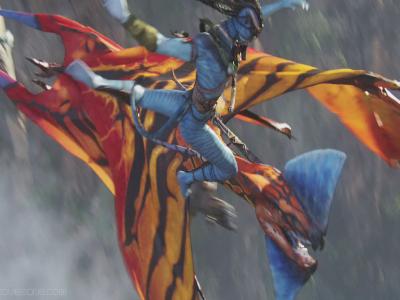 Avatar: Leonopteryx, toruk