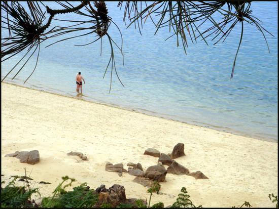 Plage active saccoupler.1280578740.jpg