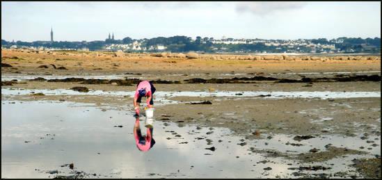 Plage active ramasser-des-coquillages.1280578719.jpg