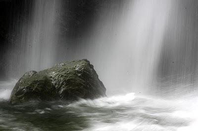 Tadake Falls : le Jurassic Park