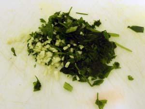 Coquillages clovisses06