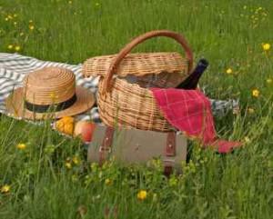 National Picnic Day : 30 août 2010 National Picnic Day : 30 août 2010