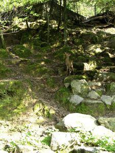 Picture_546