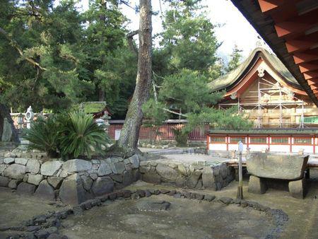 Picture_452