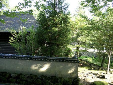 Picture_520