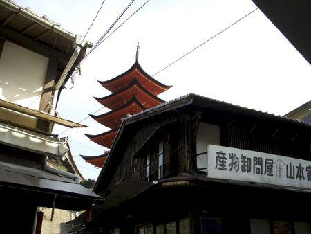 Picture_553
