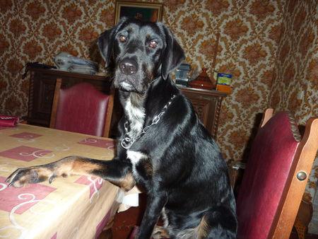 Et la reprise fut dure ! P1080174