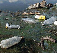 Contamination : 122 millions de déchets plastiques polluent le Littoral  