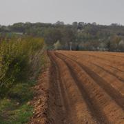 Plantation et entretien de haies La Charte Qualité Ratte du Touquet : 28 engagements