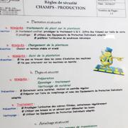 La Charte Qualité Ratte du Touquet : 28 engagements La Charte Qualité Ratte du Touquet : 28 engagements