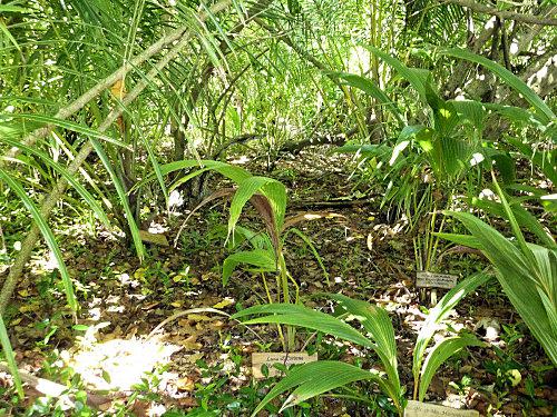 Embudhoo suite et fin plaque