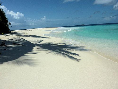 Embudhoo suite et fin palmier-copie-1