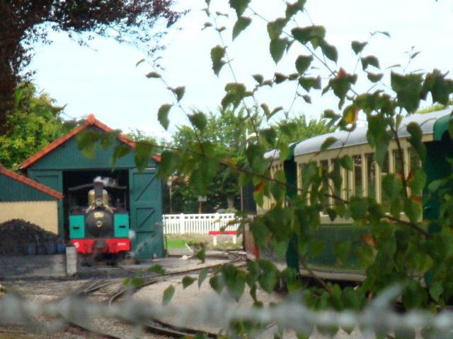 photos de vacances sur les animaux et .... train...... DSC08801.JPG