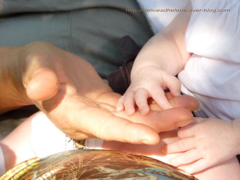 photos de vacances sur les animaux et .... train...... P1000596 resize